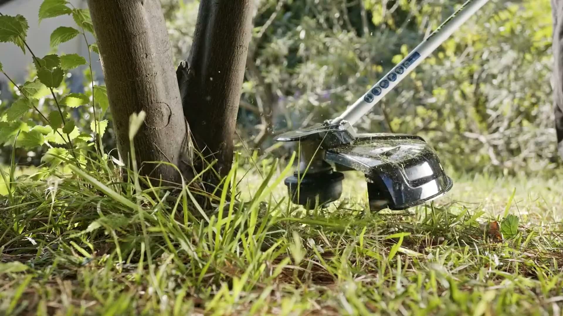 A string trimmer edging bright green grass around a tree on a sunny day